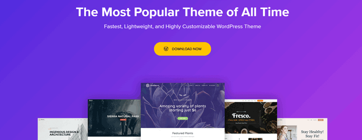 Astra is the #1 most popular theme in the WordPress repository